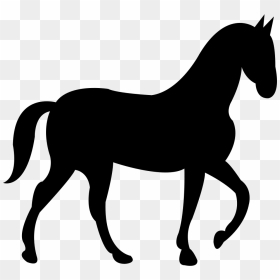 Horse With Slow Walking Pose - Cut Out Horses, HD Png Download - person walking side view png