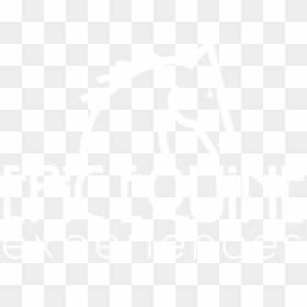 Epic Equine Logo White Trans - Johns Hopkins Logo White, HD Png Download - epic png