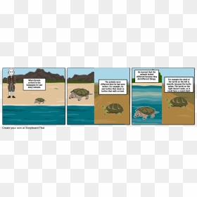 Throw Garbage In Sea Cartoon, HD Png Download - turtle shell png