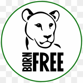 The Born Free Foundation - Cartoon, HD Png Download - bff png