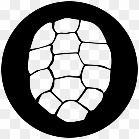 Circle, HD Png Download - turtle shell png