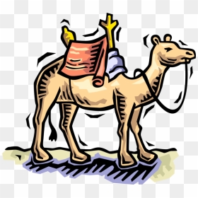 Vector Illustration Of Beast Of Burden Camel Dromedary - Camel Clip Art, HD Png Download - camel vector png