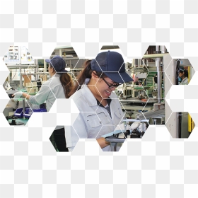 Research, HD Png Download - plex png