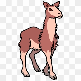 Vector Graphics,free Pictures, Free Photos, Free Images, - Lama Images Clip Art, HD Png Download - camel vector png