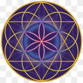 Home The Flower Of Life Ion Apothecary - Collective Flag, HD Png Download - seed of life png