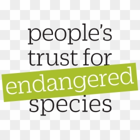 People's Trust For Endangered Species, HD Png Download - people logo png