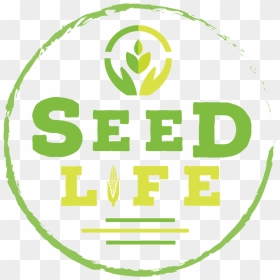 Seed Life, HD Png Download - seed of life png