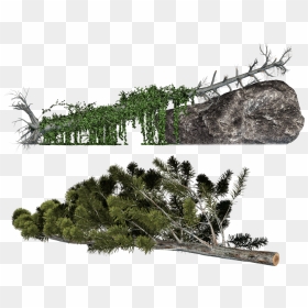 Transparent Log Wood Tree Pictures To Pin On Pinterest - Fallen Christmas Tree Png, Png Download - wood log png