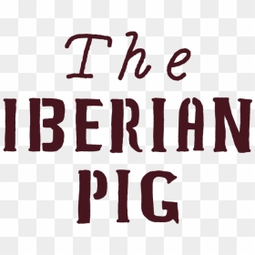 Tip Footer Logos 07 - Illustration, HD Png Download - tip png