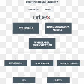 Orbex, HD Png Download - white label png