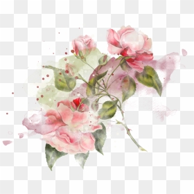 Still Life Photography, HD Png Download - tubes png