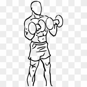 Bicep Curls Png, Transparent Png - curl png