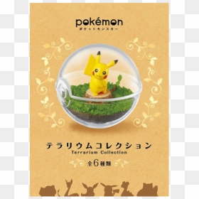 Pokemon Terrarium Collection 6pack, HD Png Download - pokemon text box png