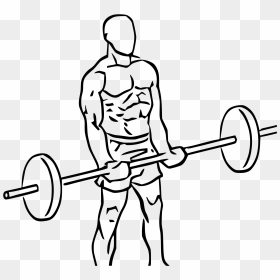 Barbell Curl Icon , Png Download - Biceps Curl Png, Transparent Png - curl png