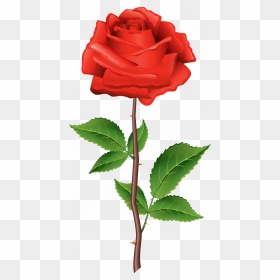 Large Size Of How To Draw A Simple Rose Design With - Flower Png With Stem, Transparent Png - rose design png