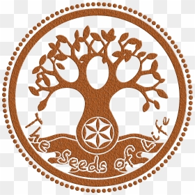Raw Food, HD Png Download - seed of life png