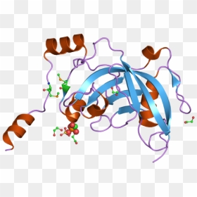 Pdb 3bi7 Ebi - Illustration, HD Png Download - pua png