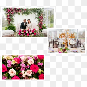 Garden Roses, HD Png Download - aaliyah png