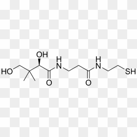 Pantetheine Structure - Structure, HD Png Download - structure png