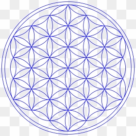 Flower Of Life Clipart Png Stock Clipart - Flower Of Life Transparent, Png Download - seed of life png