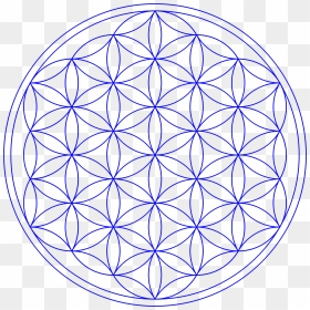 Flower Of Life Clipart Png Stock Clipart - Flower Of Life Transparent, Png Download - seed of life png