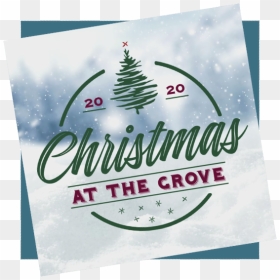 Christmas Promo 20 - Christmas Tree, HD Png Download - christmas eve png