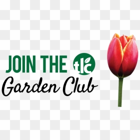 Garden Club Png - Join The Garden Club, Transparent Png - tlc png