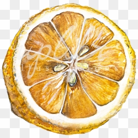 Lemon Web - Bitter Orange, HD Png Download - spirit bomb png