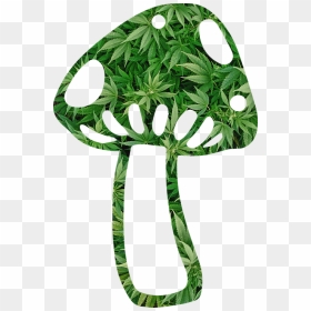 Mushroom, Shroom, Weed, Fungi, Fungus, Psychedelic - Weed And Mushrooms Logo, HD Png Download - fungi png