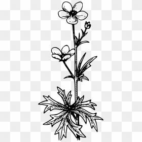 Buttercup Clip Arts - Black And White Flowers Transparent Tattoo, HD Png Download - buttercup png