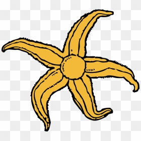 Starfish Clipart Under Sea - Starfish Clip Art, HD Png Download - under the sea png