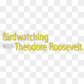 Birdwatching With Theodore Roosevelt - Graphics, HD Png Download - teddy roosevelt png