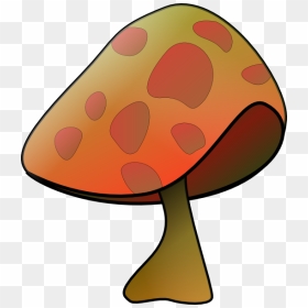 Mushroom Clip Art, HD Png Download - fungi png