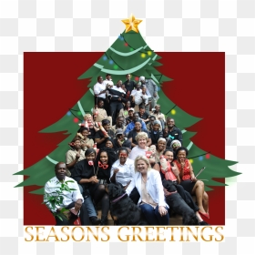Seasons Greetings From Intundla Conference, Team Building - Christmas Tree, HD Png Download - seasons greetings png