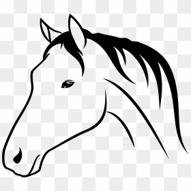 Horse Clipart Bust - Horse Head Drawing, HD Png Download - bust png
