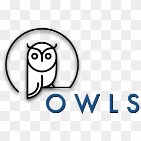 Owl Minimalist , Png Download - Portable Network Graphics, Transparent Png - minimalist png