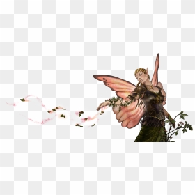 Druid , Png Download - Illustration, Transparent Png - druid png