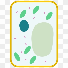 Animal Plant Bacteria Cells, HD Png Download - blank label png