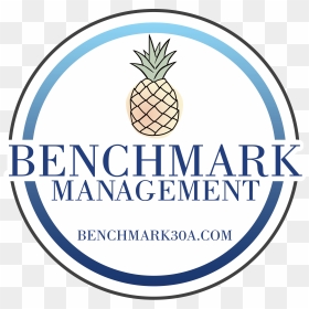Benchmark Management - Guidestar Seal Of Transparency Platinum 2018, HD Png Download - spongebob house png