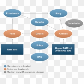 Diagram, HD Png Download - ega png