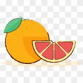 Grapefruit Gourmet Fruit Hand Drawn Png And Vector - Grapefruit Cartoon Png, Transparent Png - hand drawn png