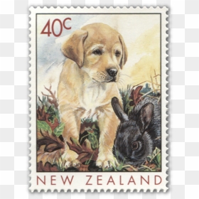 Postage Stamp, HD Png Download - canceled stamp png