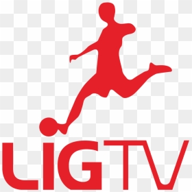 Thumb Image - Lig Tv Logo Png, Transparent Png - tv logo png