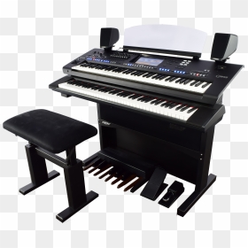 Genos Png , Png Download - Electric Piano, Transparent Png - genos png