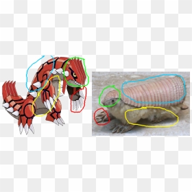 Groudon Is An Armadillo - Pokemon Groudon, HD Png Download - groudon png