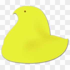 Buncee, HD Png Download - peep png