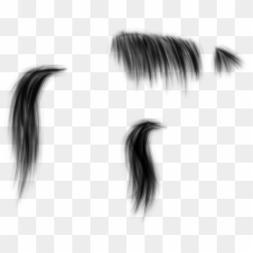 Hair Stock Png , Png Download - Hair Stock Png, Transparent Png - stock photo png