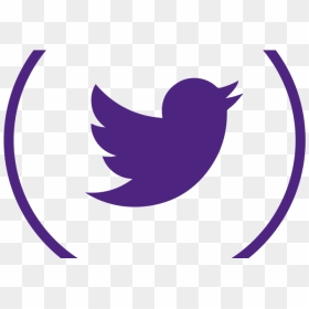 Follow Us On Social Media - Dark Blue Twitter Logo, HD Png Download - minnesota vikings png