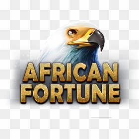 Bald Eagle, HD Png Download - fortune logo png
