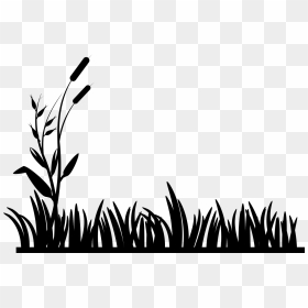 Grass Clipart Black And White Png, Transparent Png - cattails png